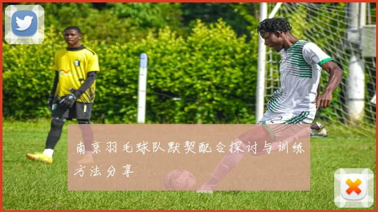 南京羽毛球队默契配合探讨与训练方法分享